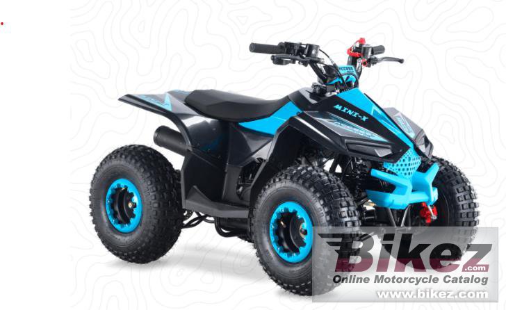 Access Mini X 110