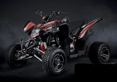 Aeon Cobra Supermoto