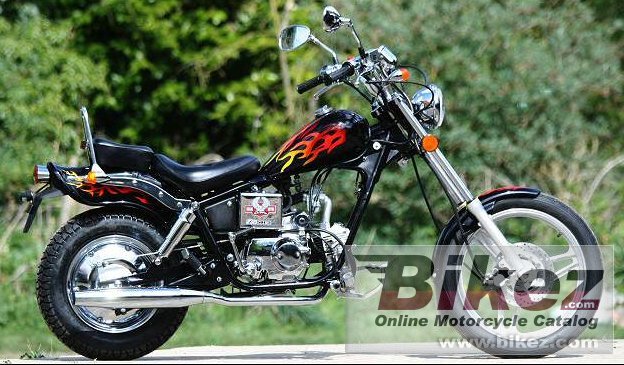 AJS Regal Raptor DD50E-2