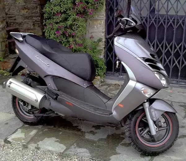 Thumbnail for Aprilia Leonardo 125 2006