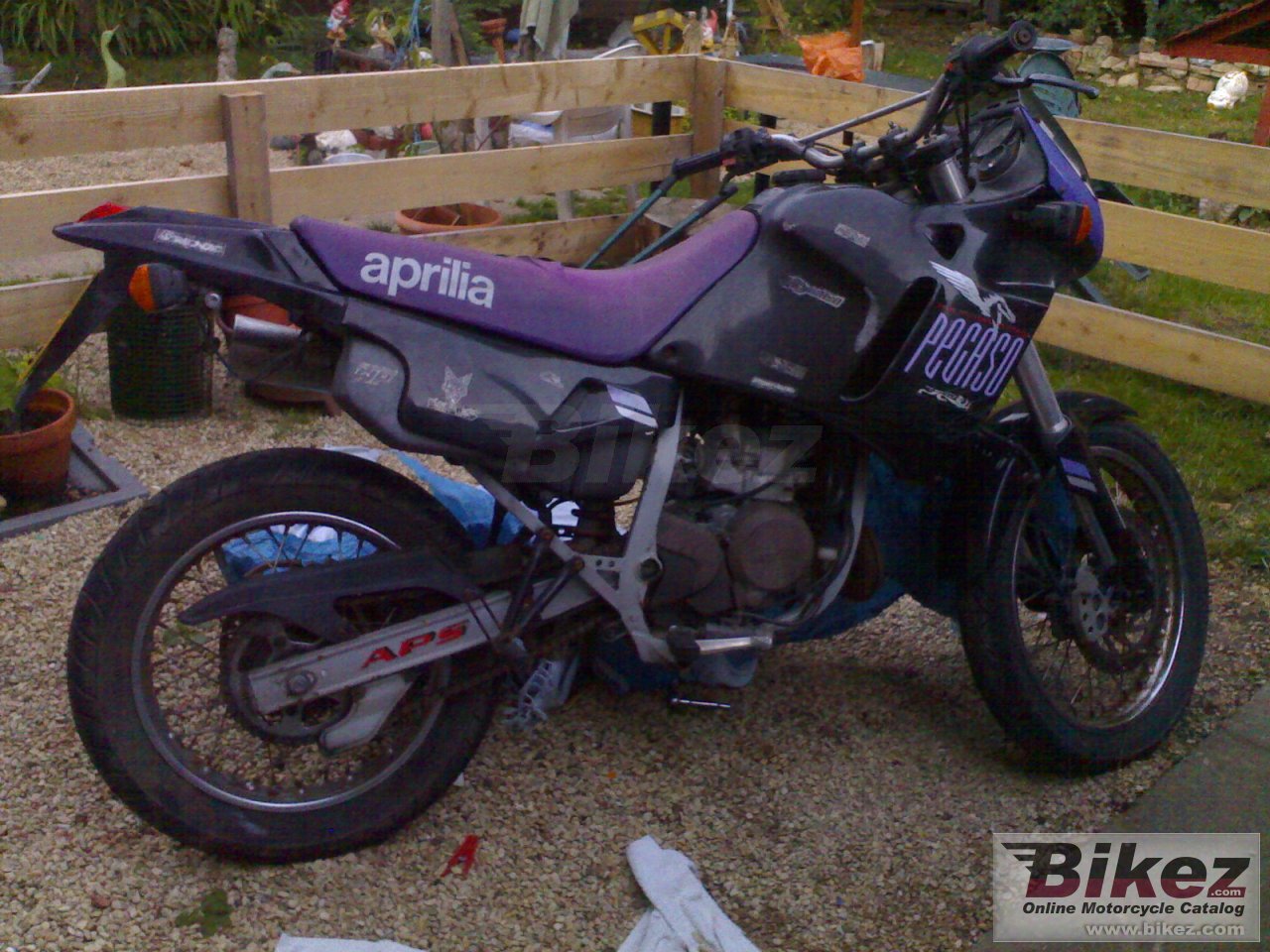 Thumbnail for Aprilia Pegaso 125 1991