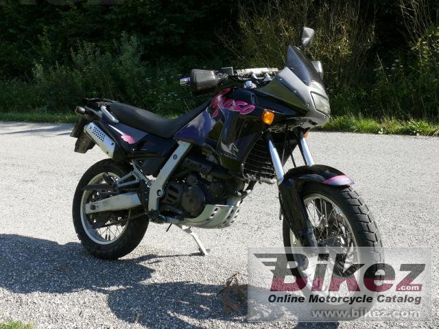 Thumbnail for Aprilia Pegaso 650 1993