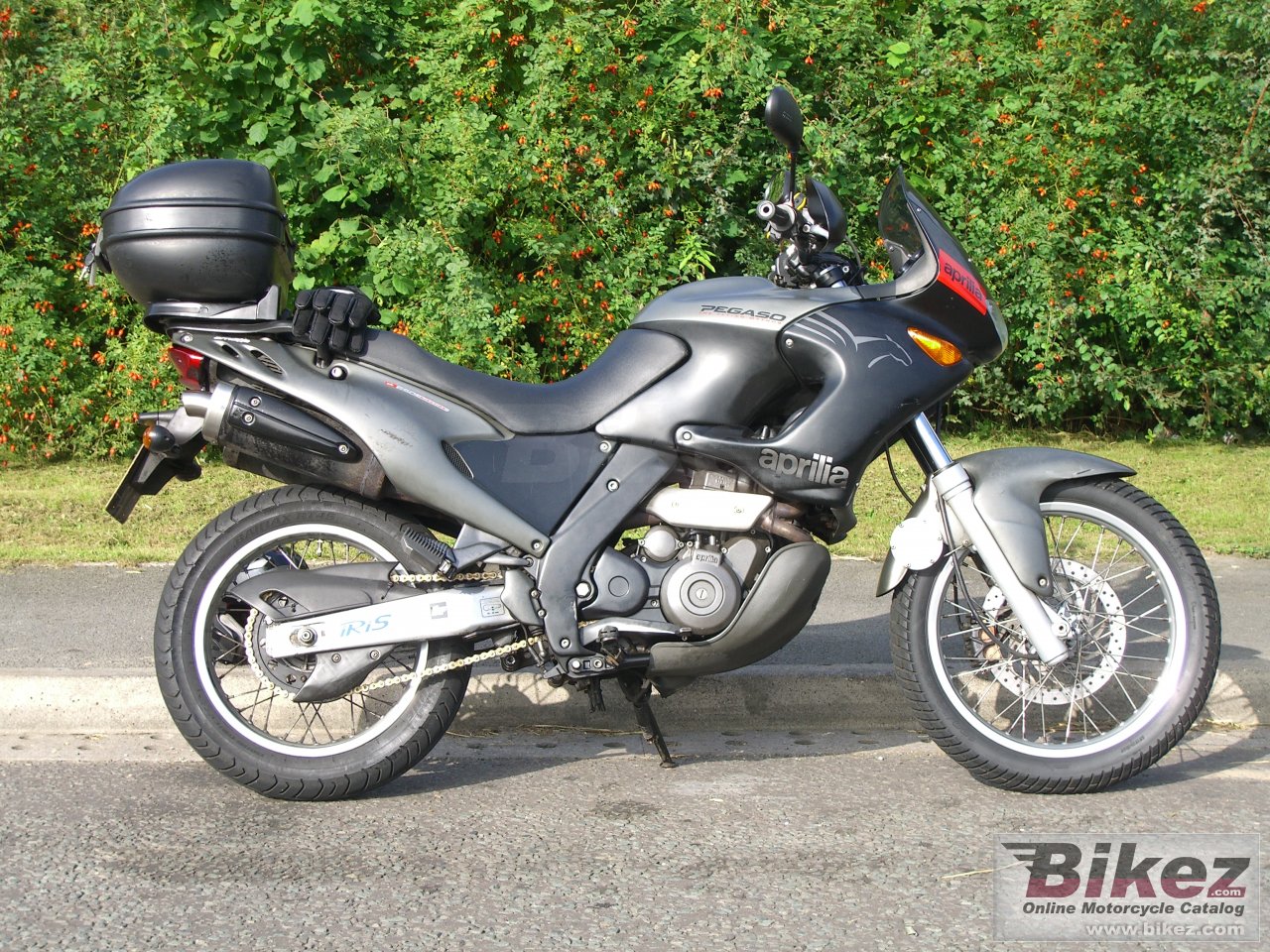 Aprilia Pegaso I.E. 650
