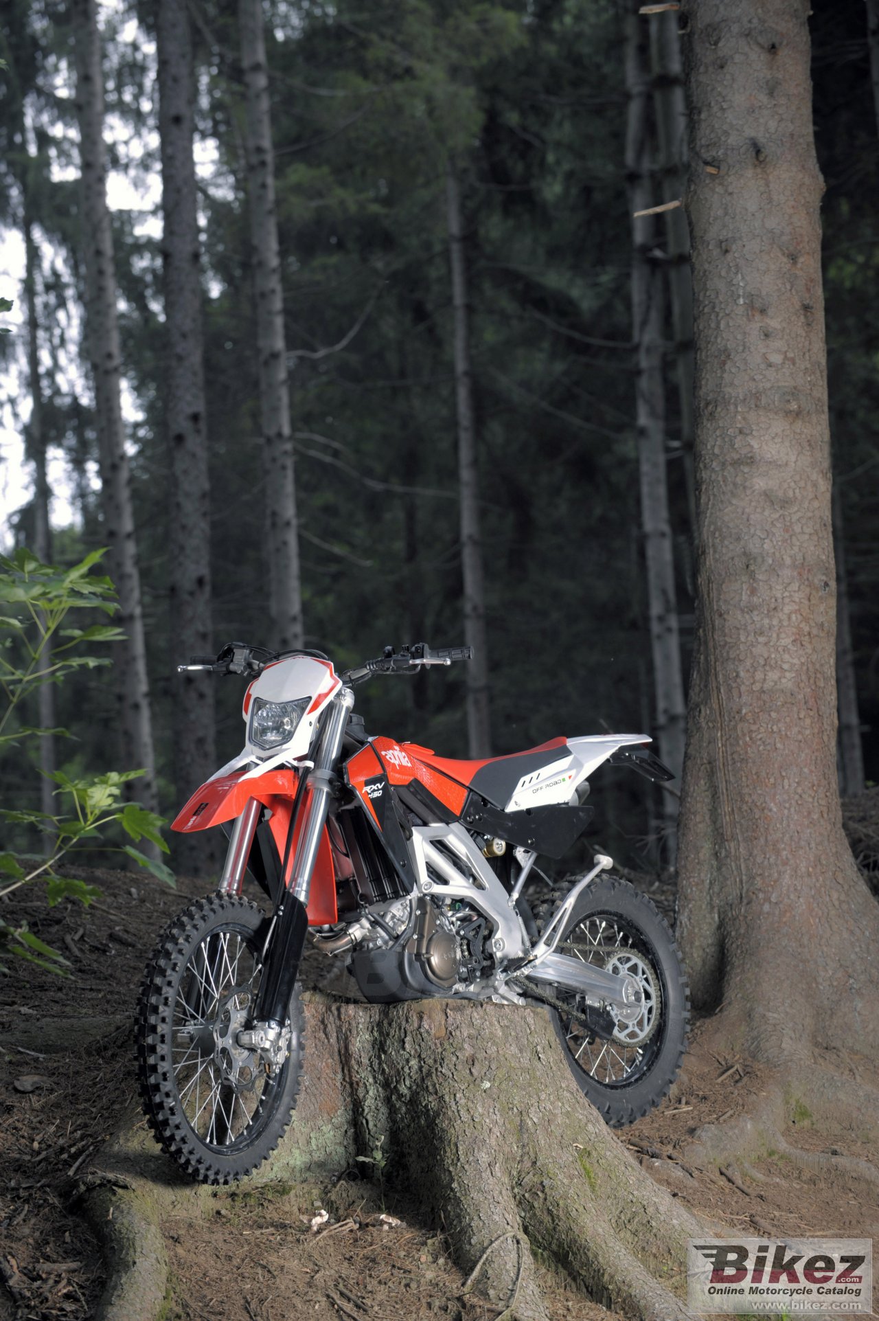 Thumbnail for Aprilia RXV450 2009