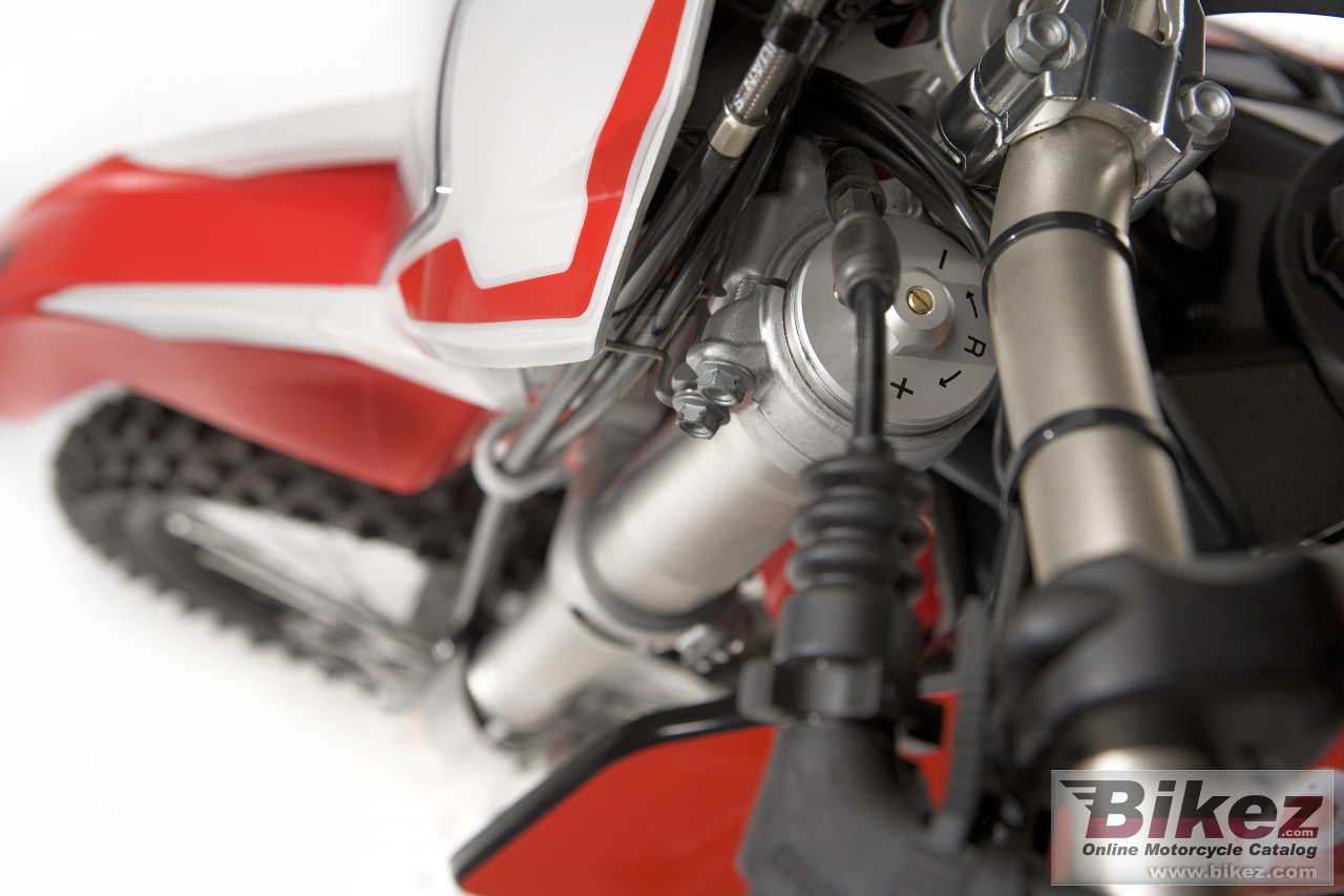 Thumbnail for Aprilia RXV550 2009
