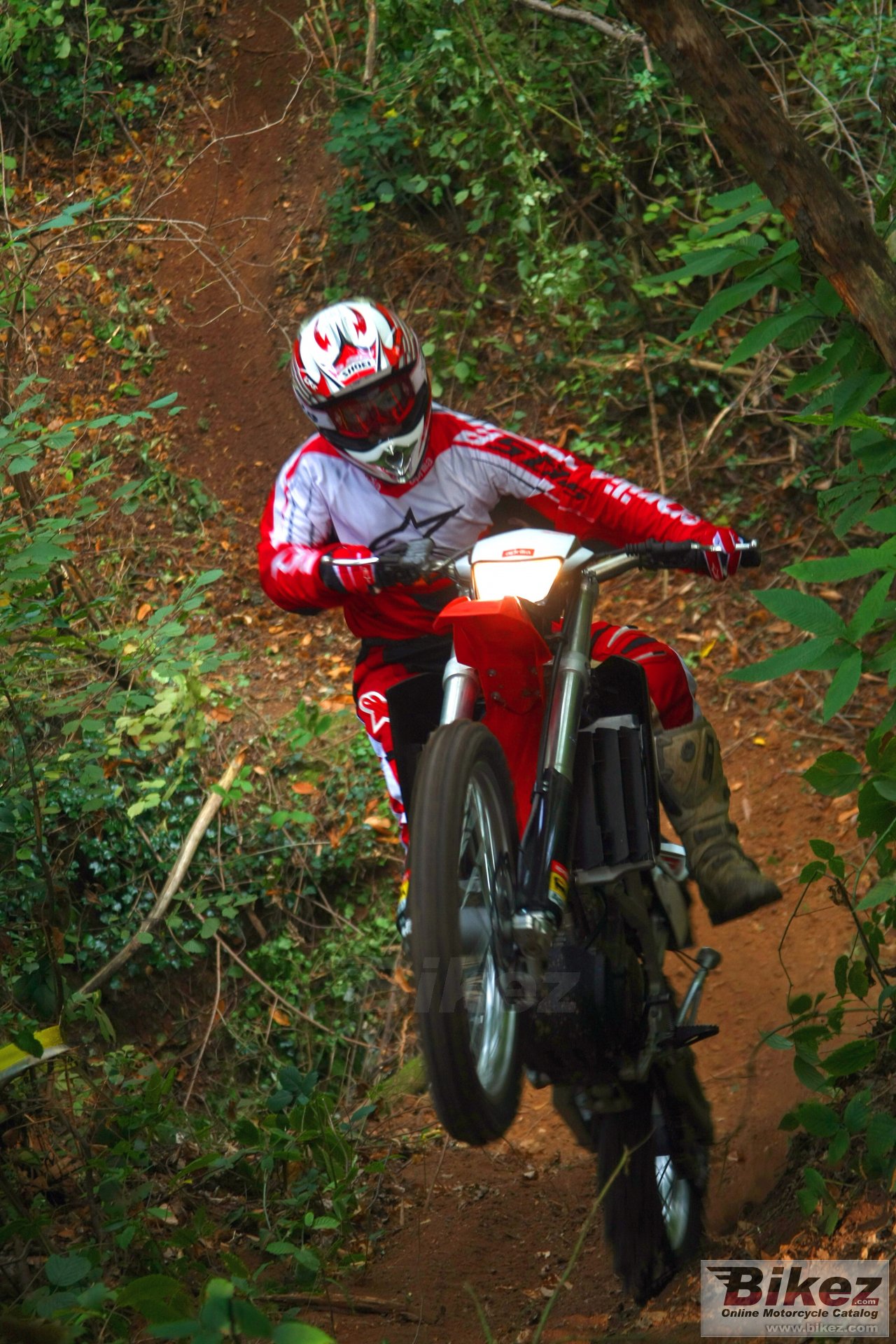Thumbnail for Aprilia RXV 5.5 2008
