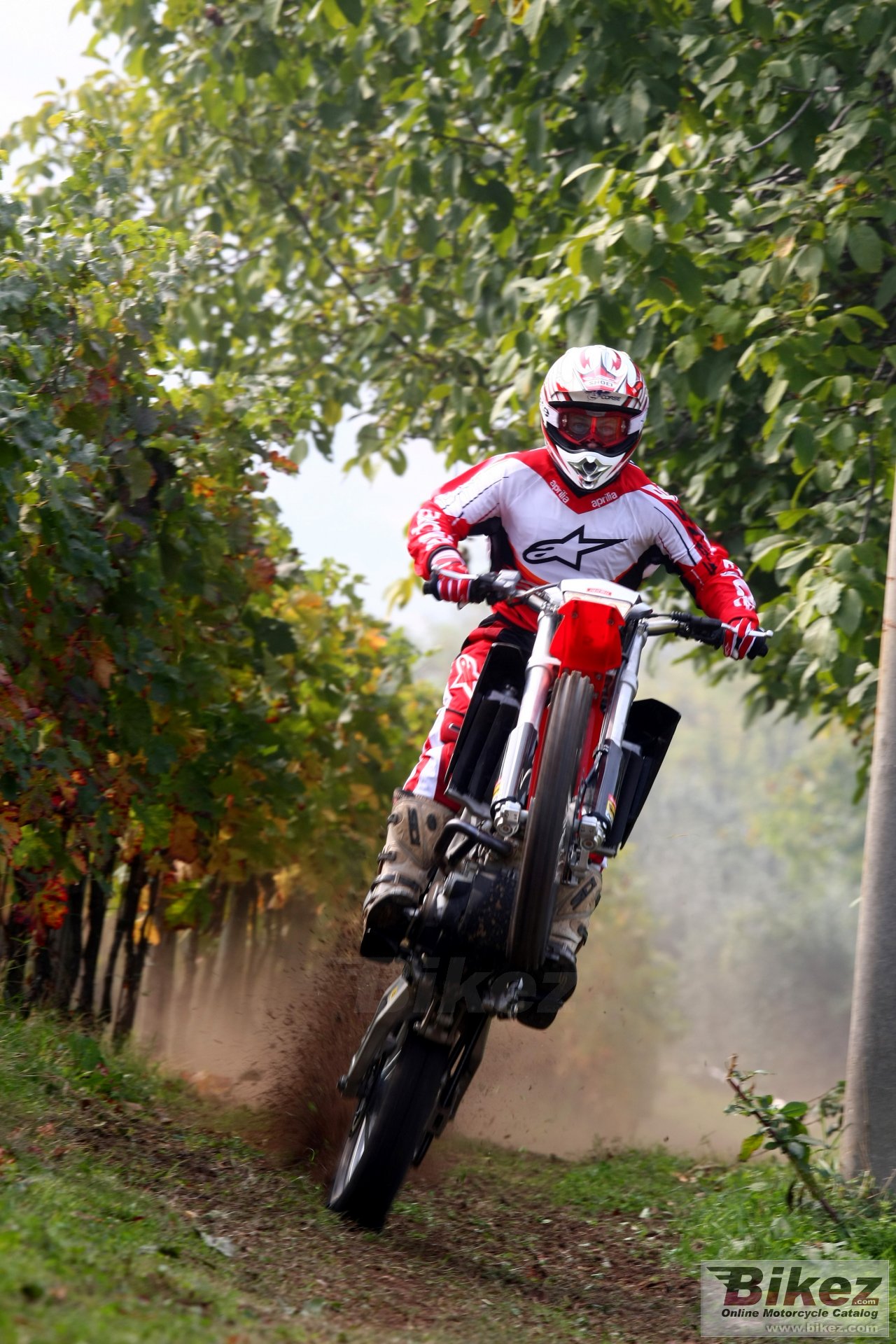 Thumbnail for Aprilia RXV 5.5 2008