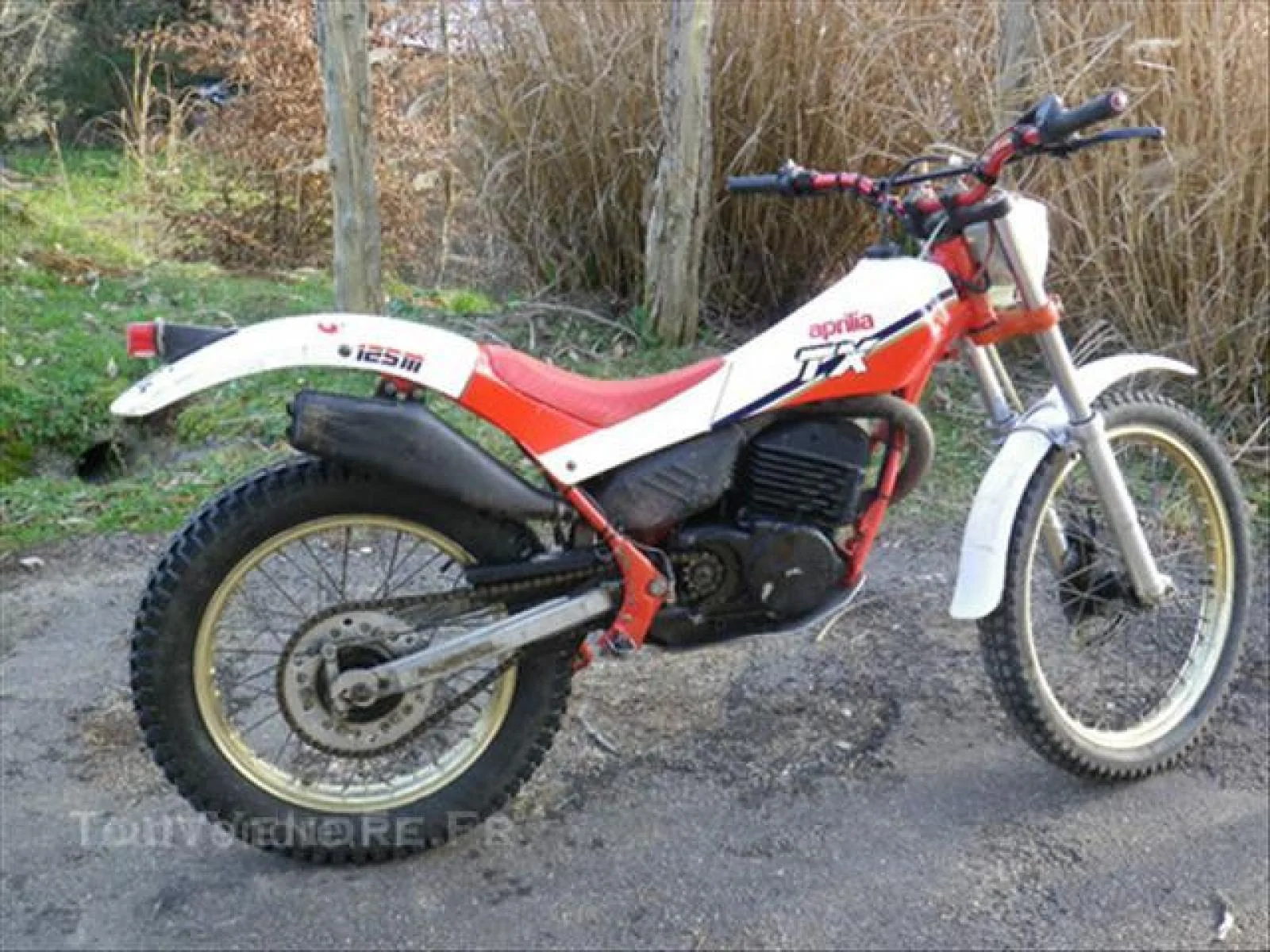 Aprilia TX 125