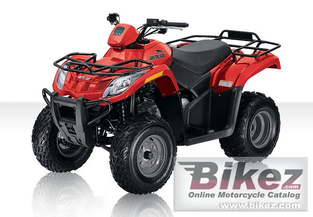 Arctic Cat 300