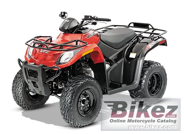Arctic Cat 300