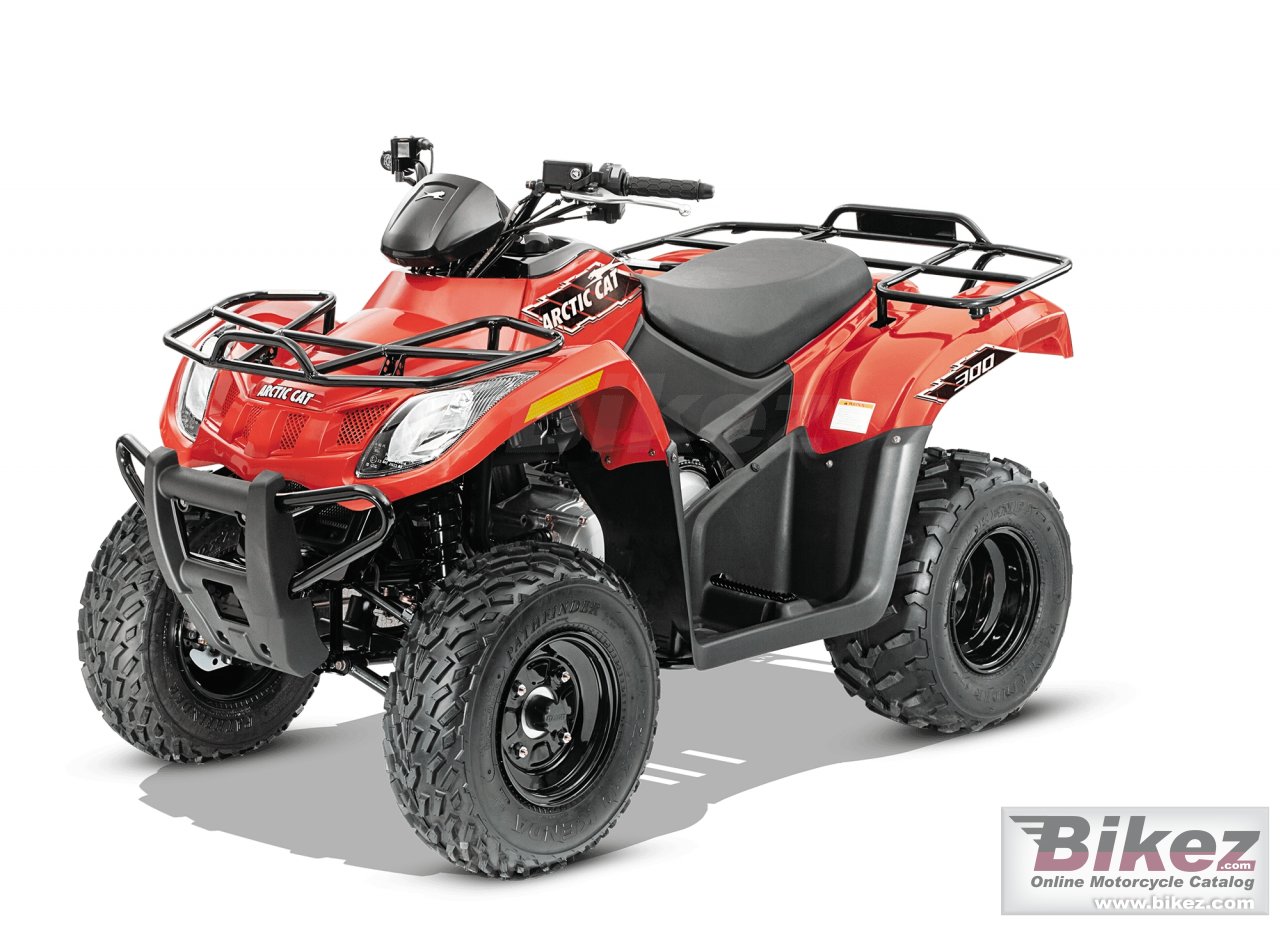 Arctic Cat 300