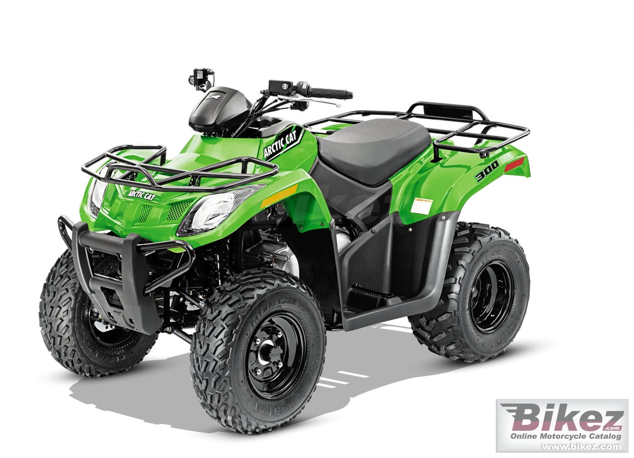 Arctic Cat Alterra 300