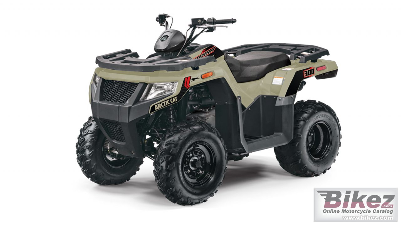 Arctic Cat Alterra 300
