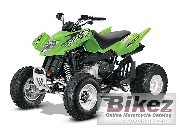 Arctic Cat DVX 300