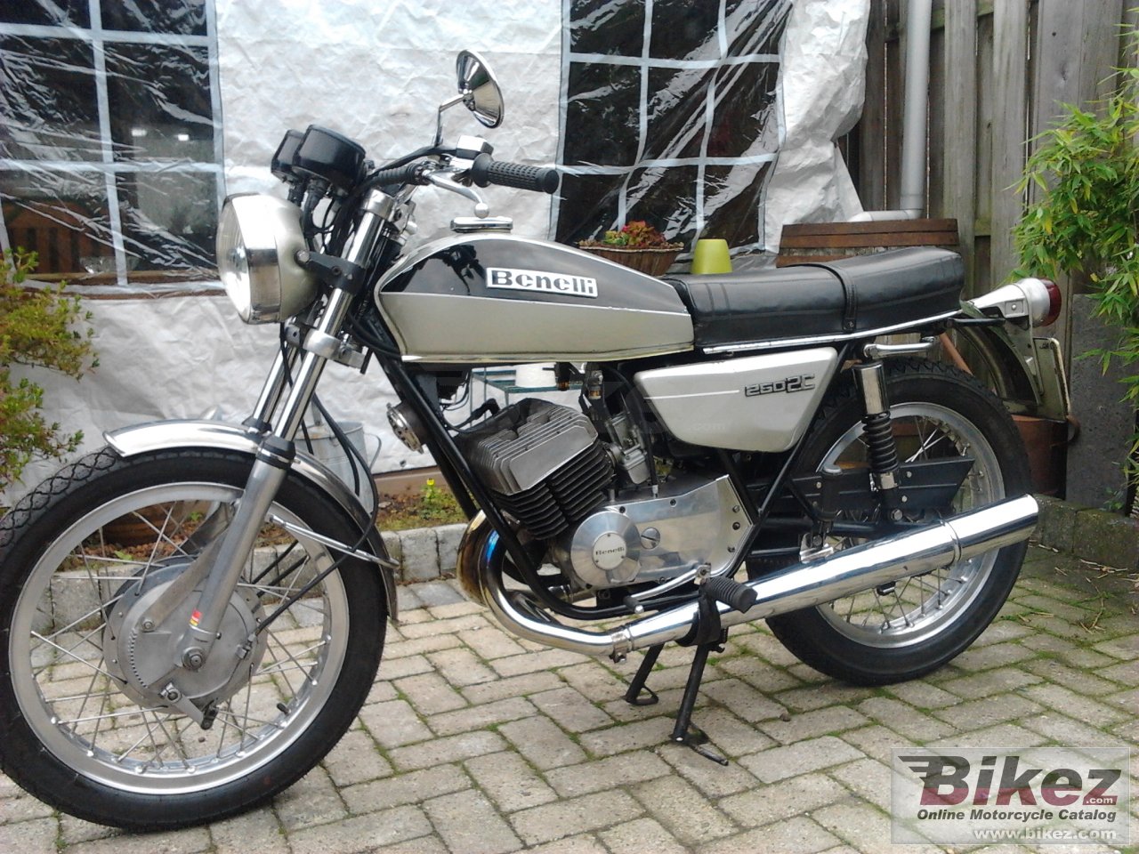 Benelli 250 2 C