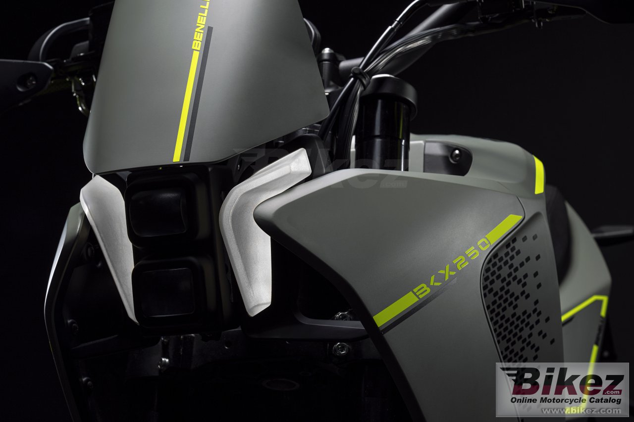 Thumbnail for Benelli BKX 250 2023