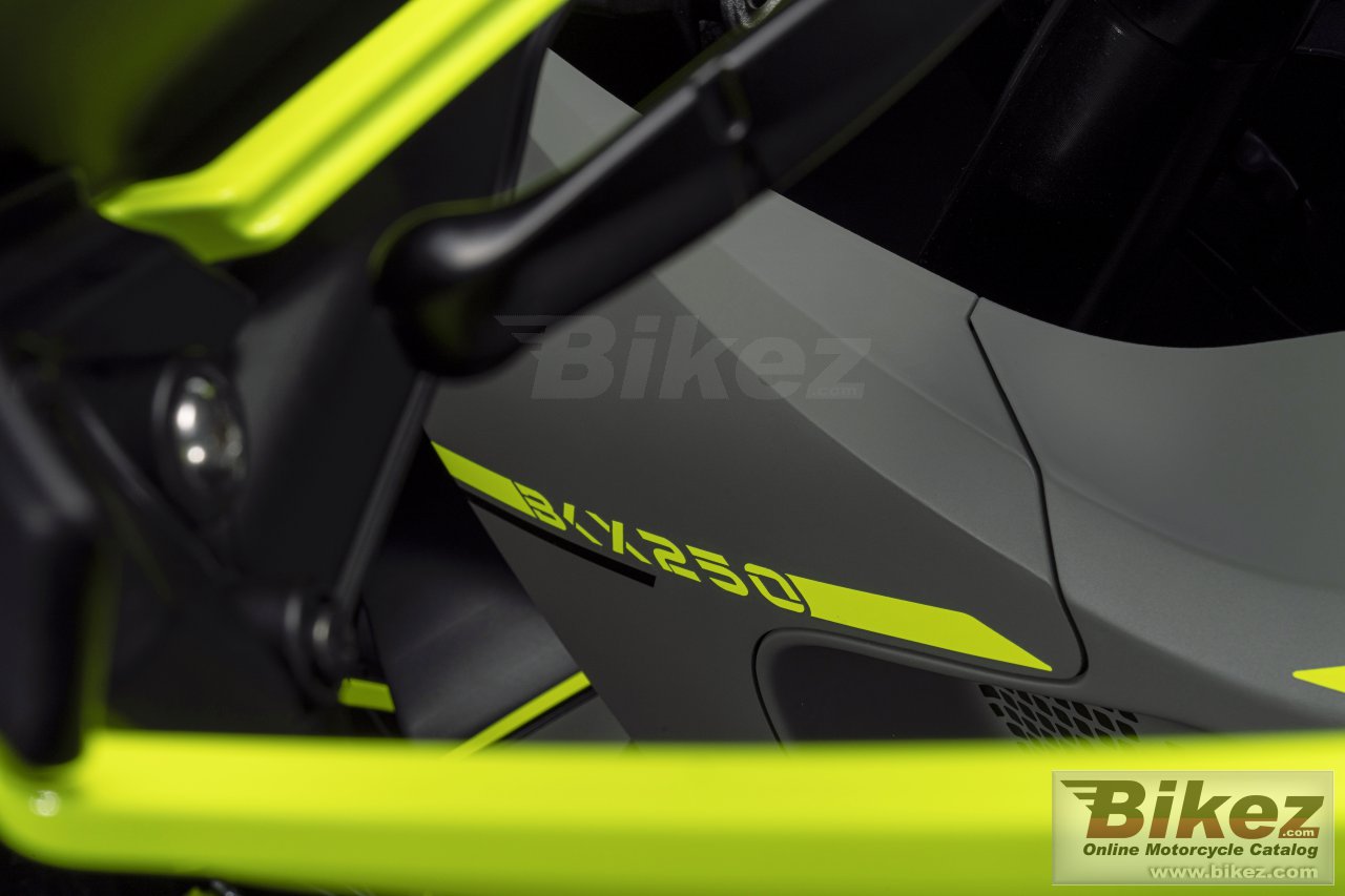 Thumbnail for Benelli BKX 250 2023