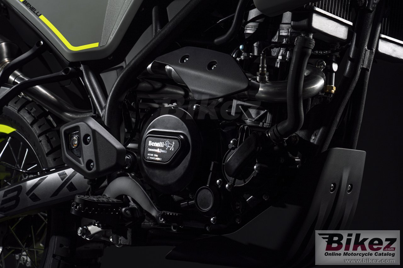 Thumbnail for Benelli BKX 250 2023