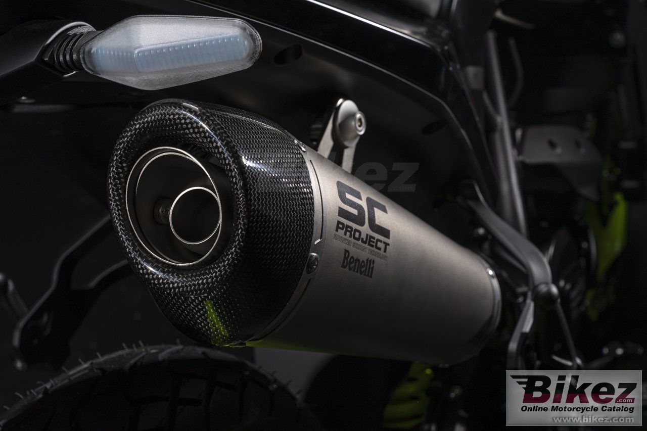 Thumbnail for Benelli BKX 250 S 2023