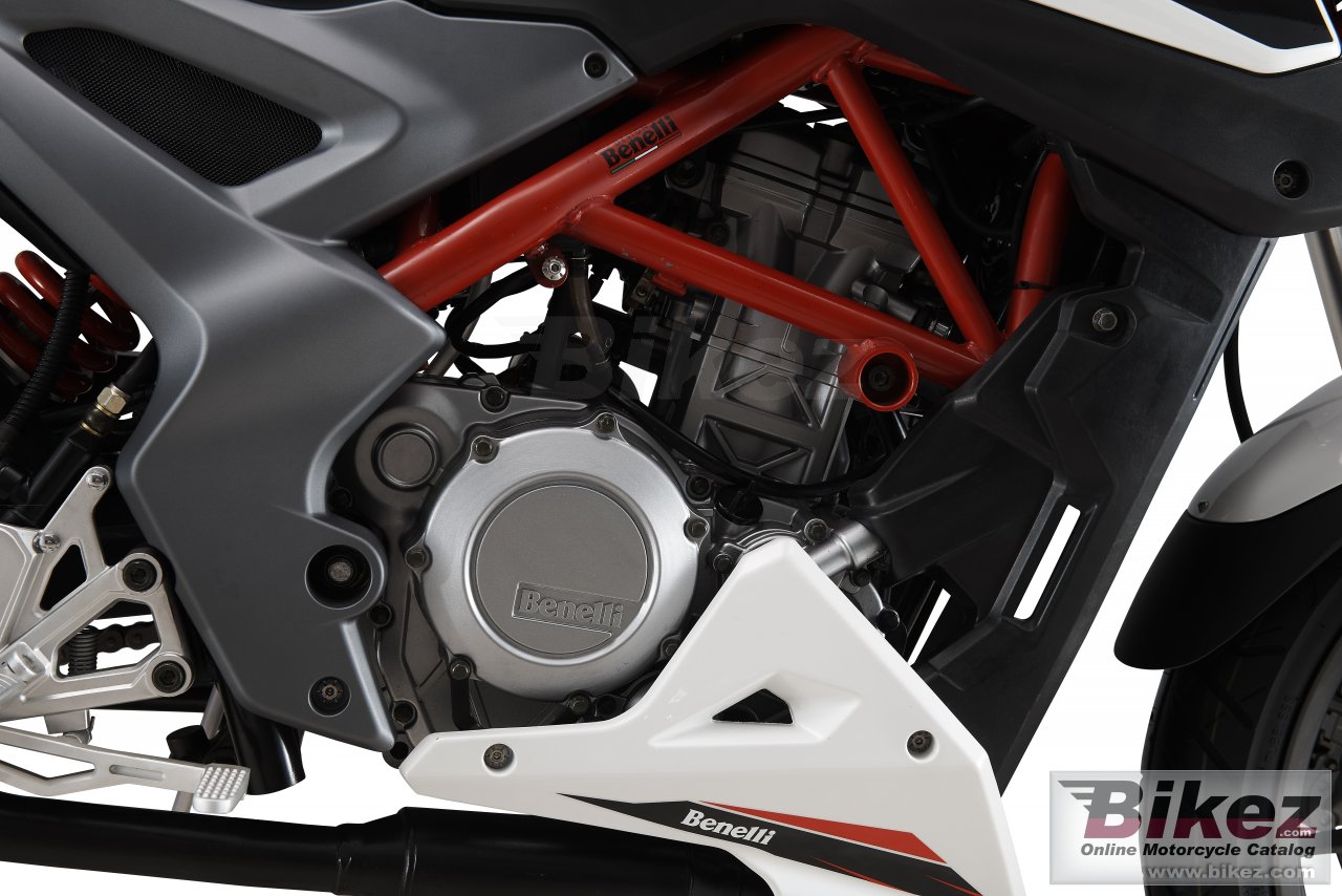 Thumbnail for Benelli BN 251 2016