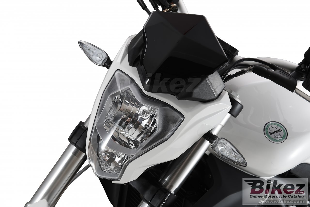 Thumbnail for Benelli BN 302 2015
