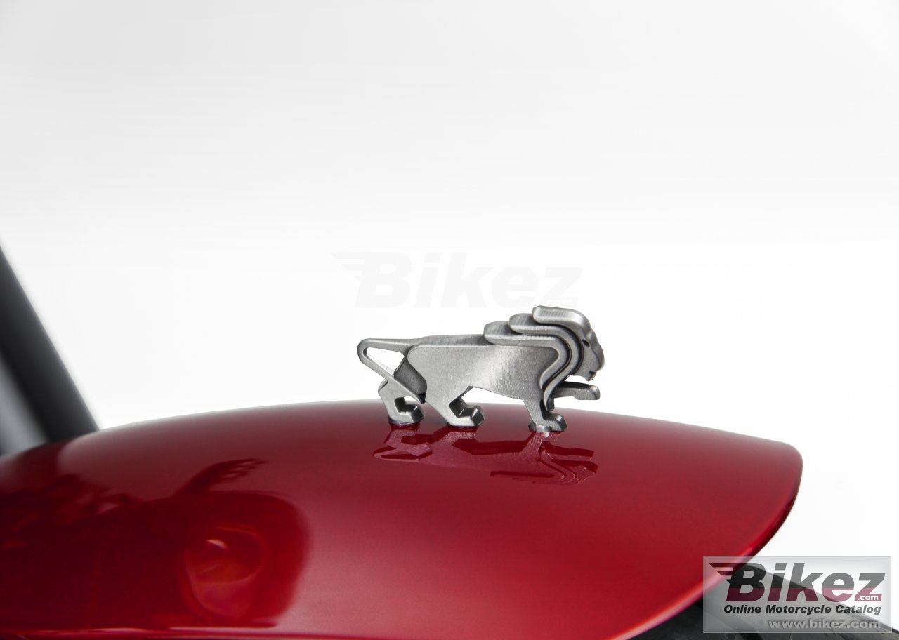 Thumbnail for Benelli Leoncino 2019