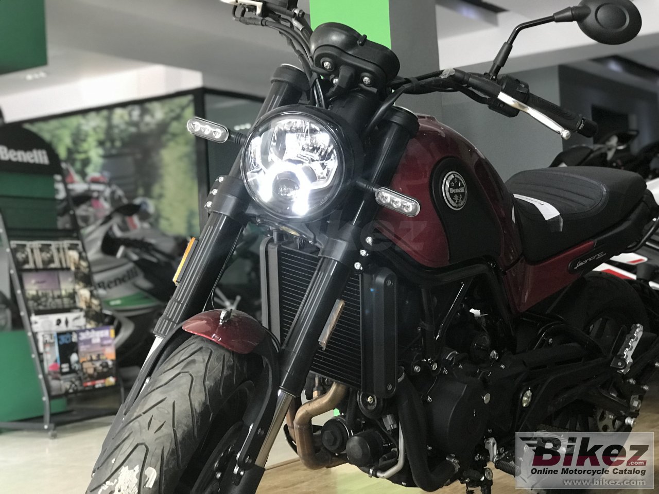 Benelli Leoncino 500