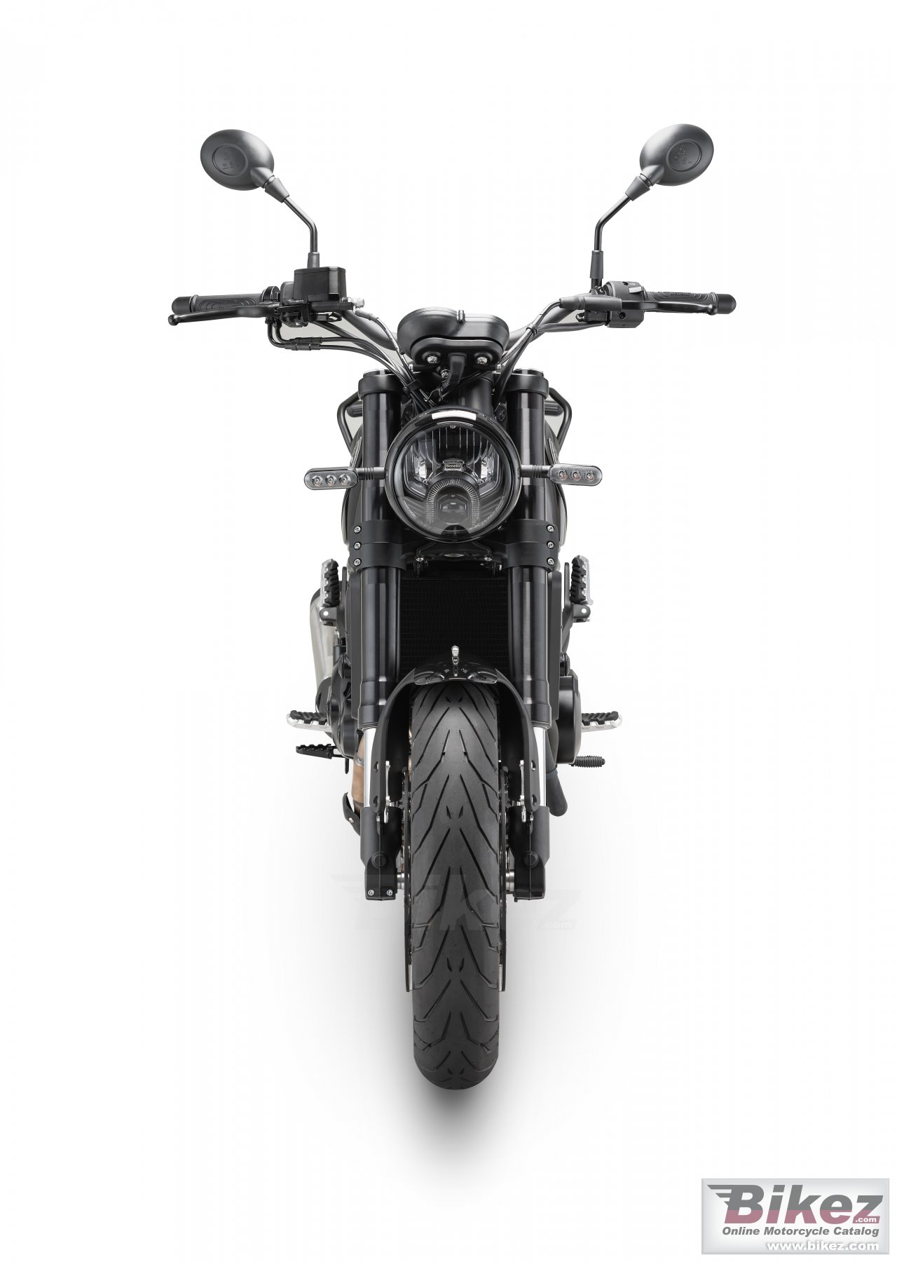Thumbnail for Benelli Leoncino 500 2024