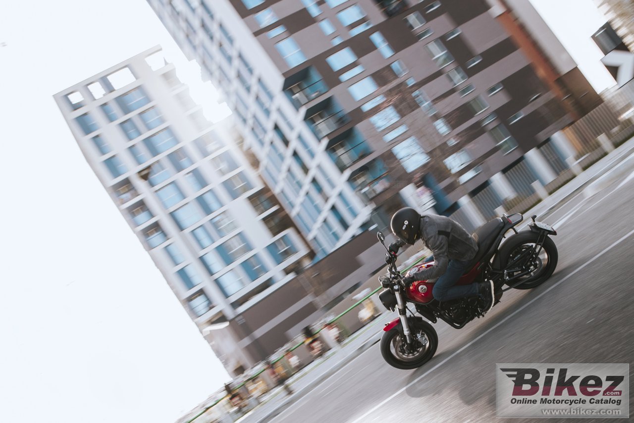 Thumbnail for Benelli Leoncino 500 ES 2022