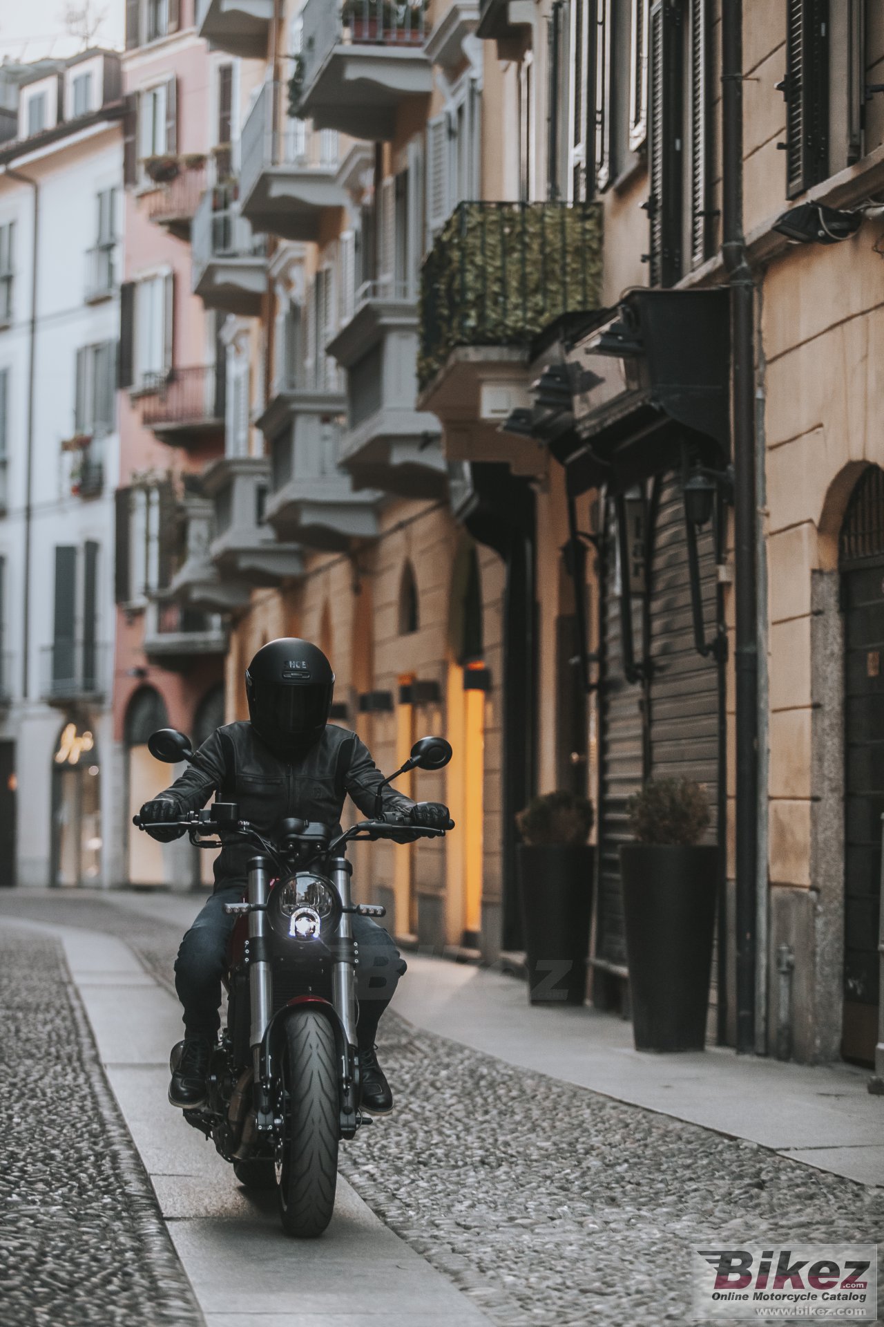 Thumbnail for Benelli Leoncino 500 ES 2022