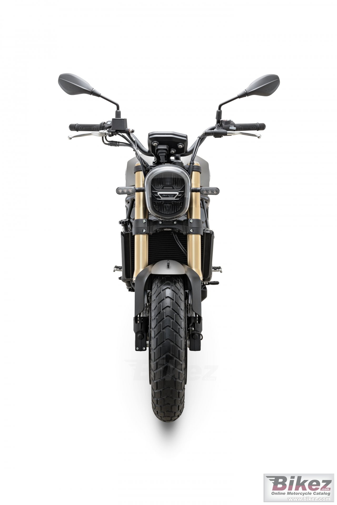 Thumbnail for Benelli Leoncino 800 2020