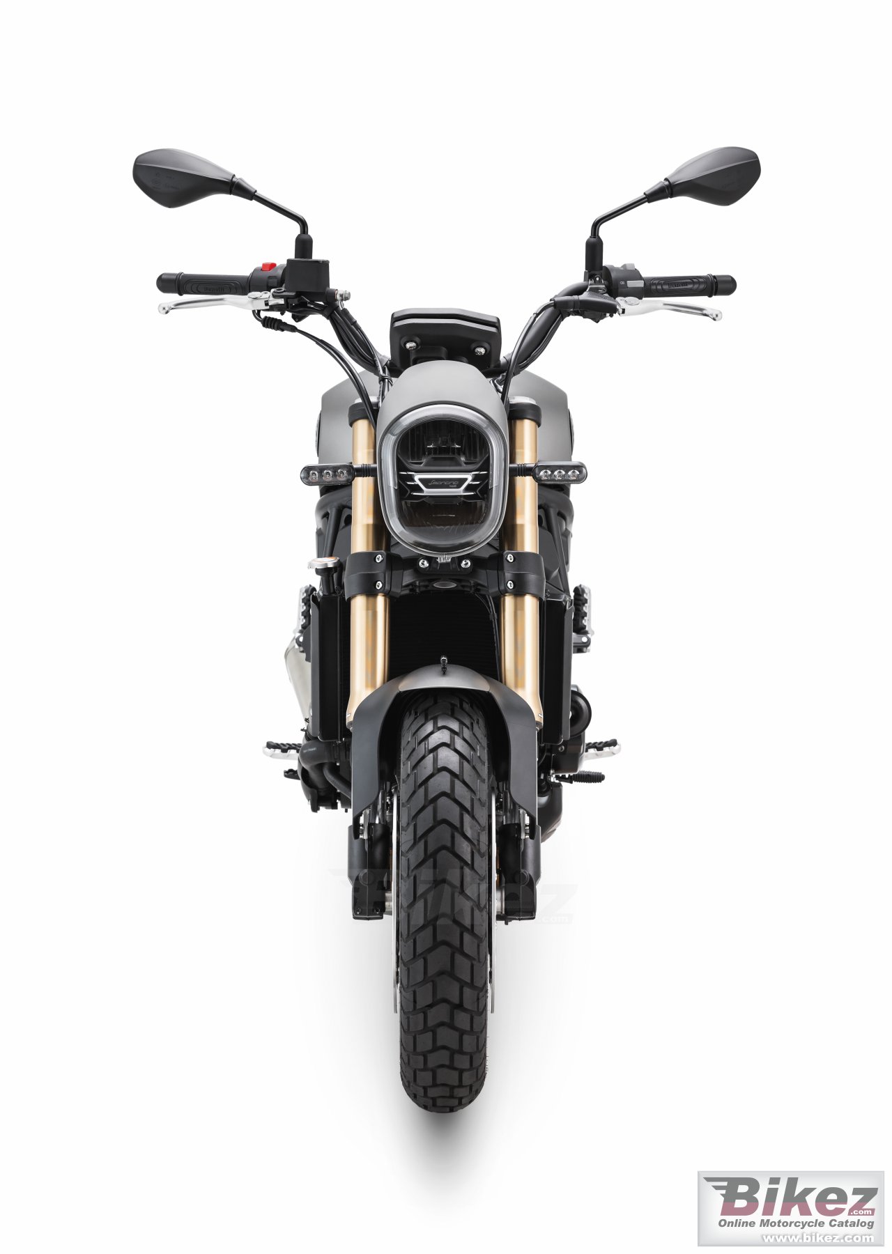 Thumbnail for Benelli Leoncino 800 2024