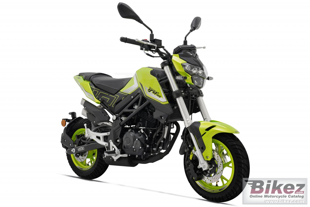 Thumbnail for Benelli TNT 125 2024