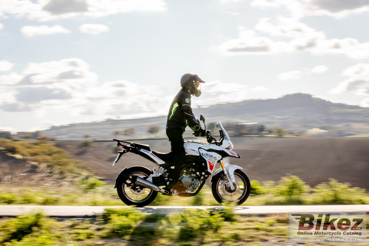 Thumbnail for Benelli TRK 251 2023