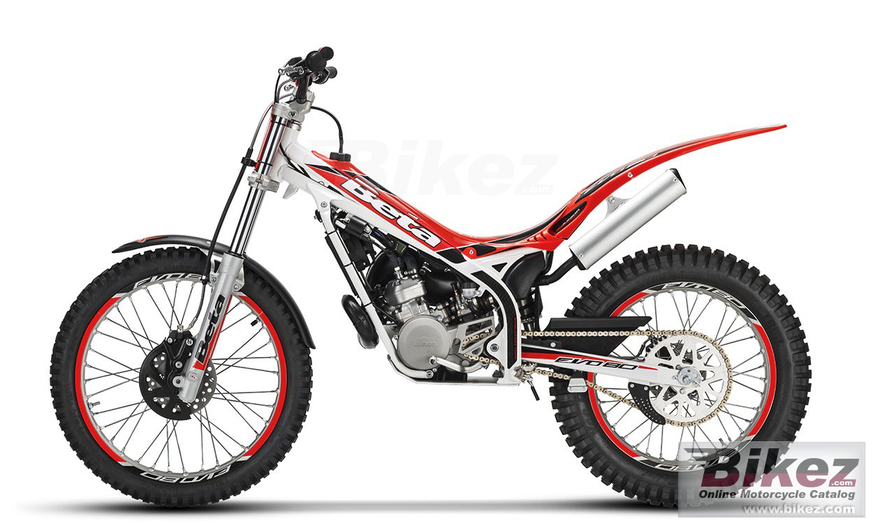 Beta Evo 80 Junior
