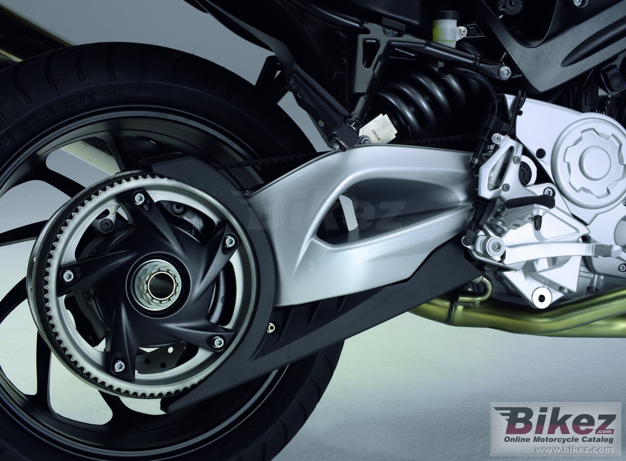 Thumbnail for BMW F 800 S 2010