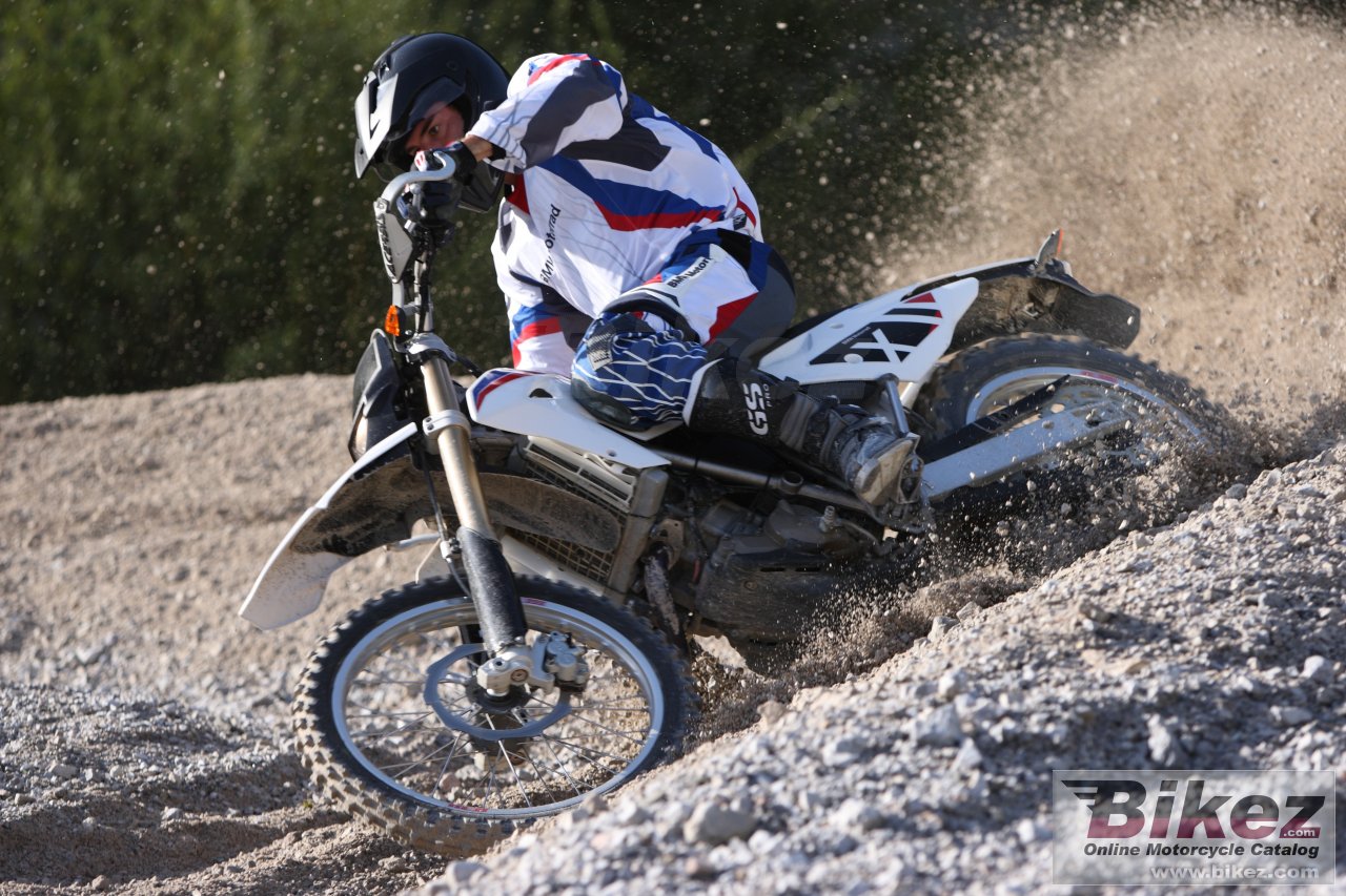 Thumbnail for BMW G 450 X 2010