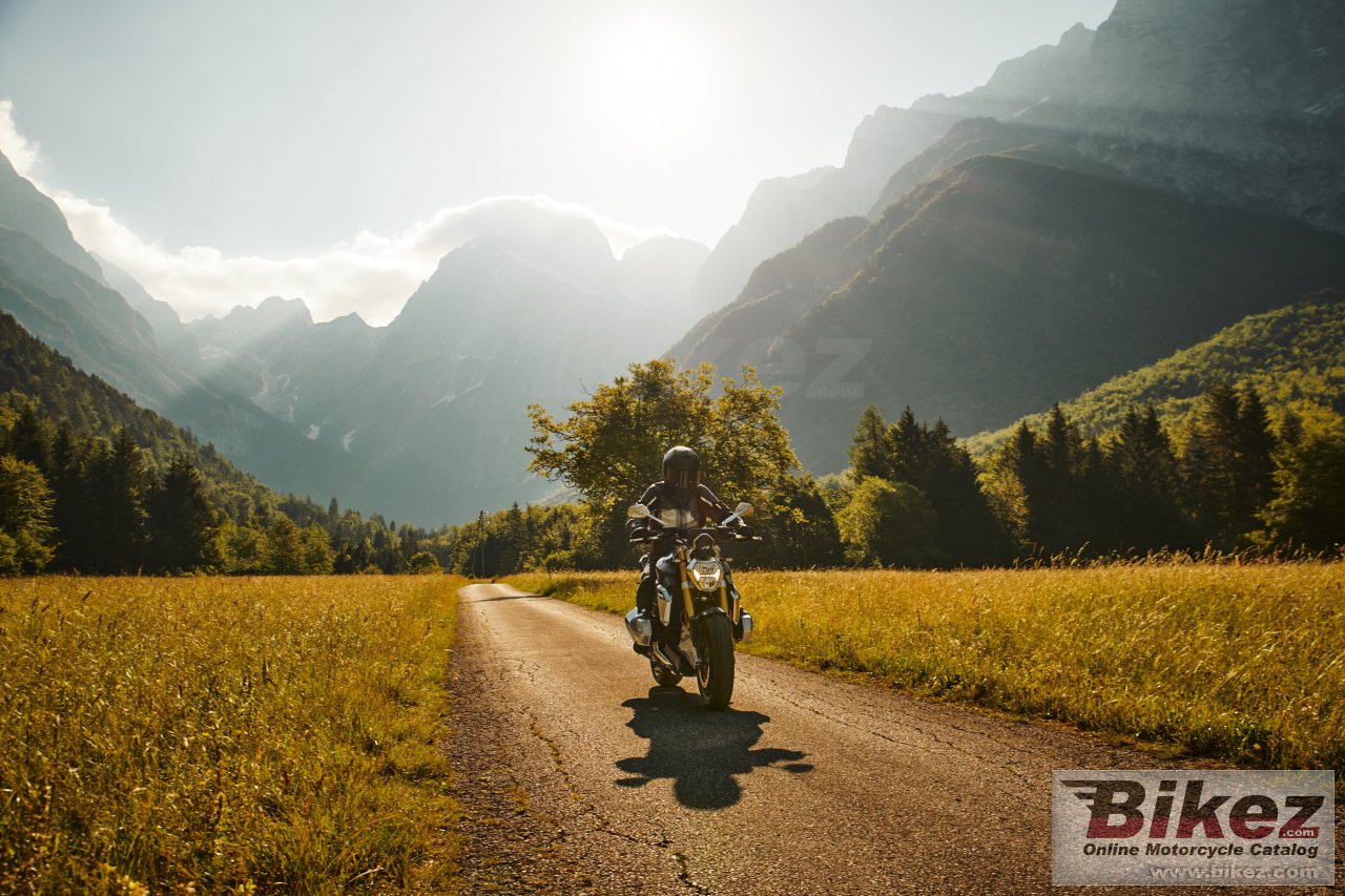 Thumbnail for BMW R 1250 R 2019