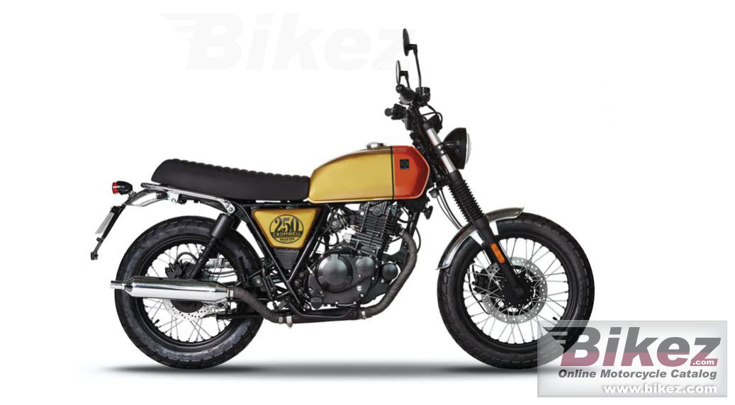 Brixton Cromwell 250
