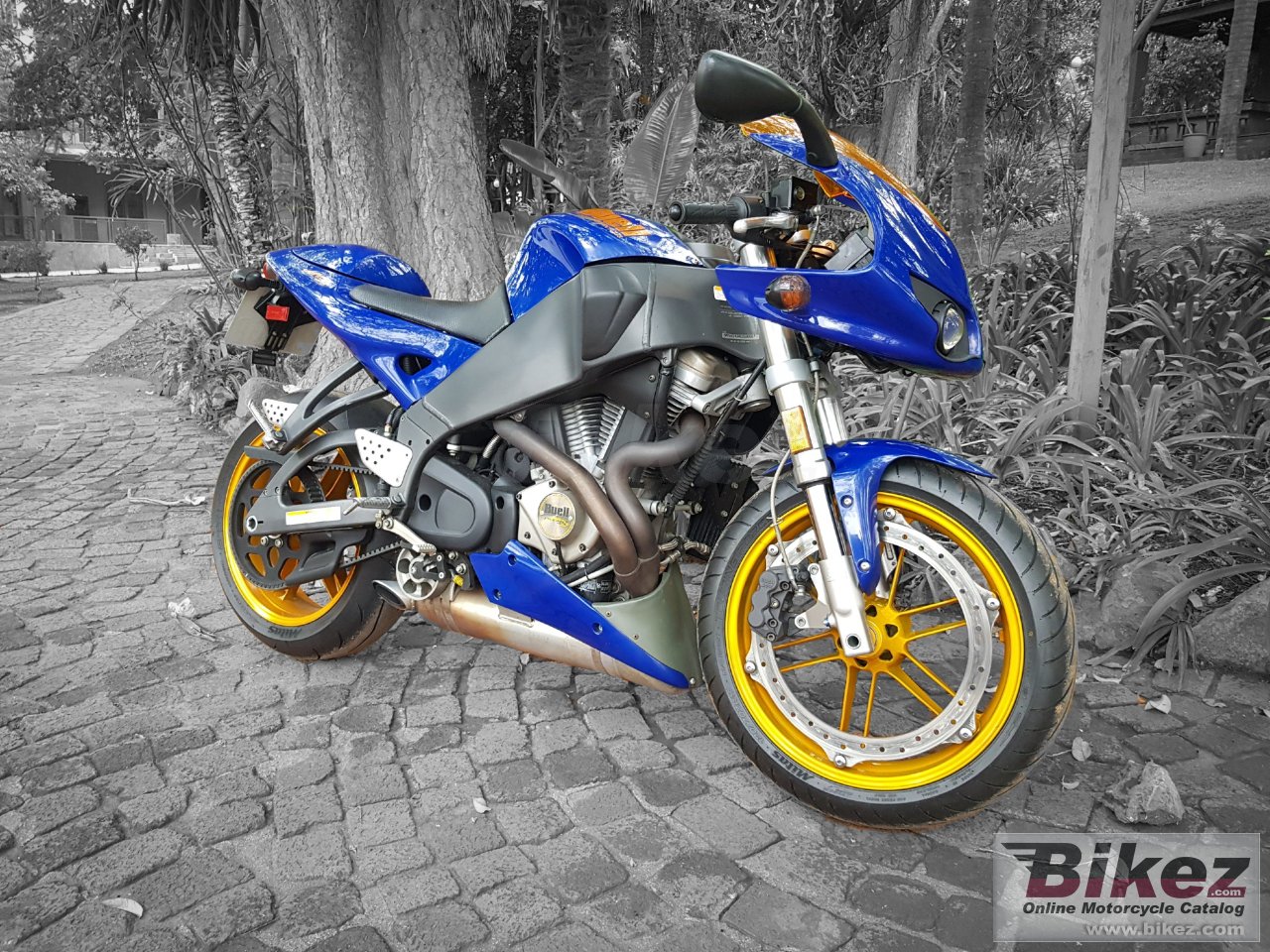 Thumbnail for Buell Firebolt XB12R 2005
