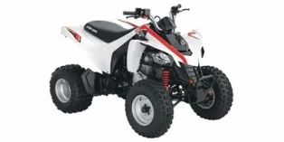 Can-Am DS 250