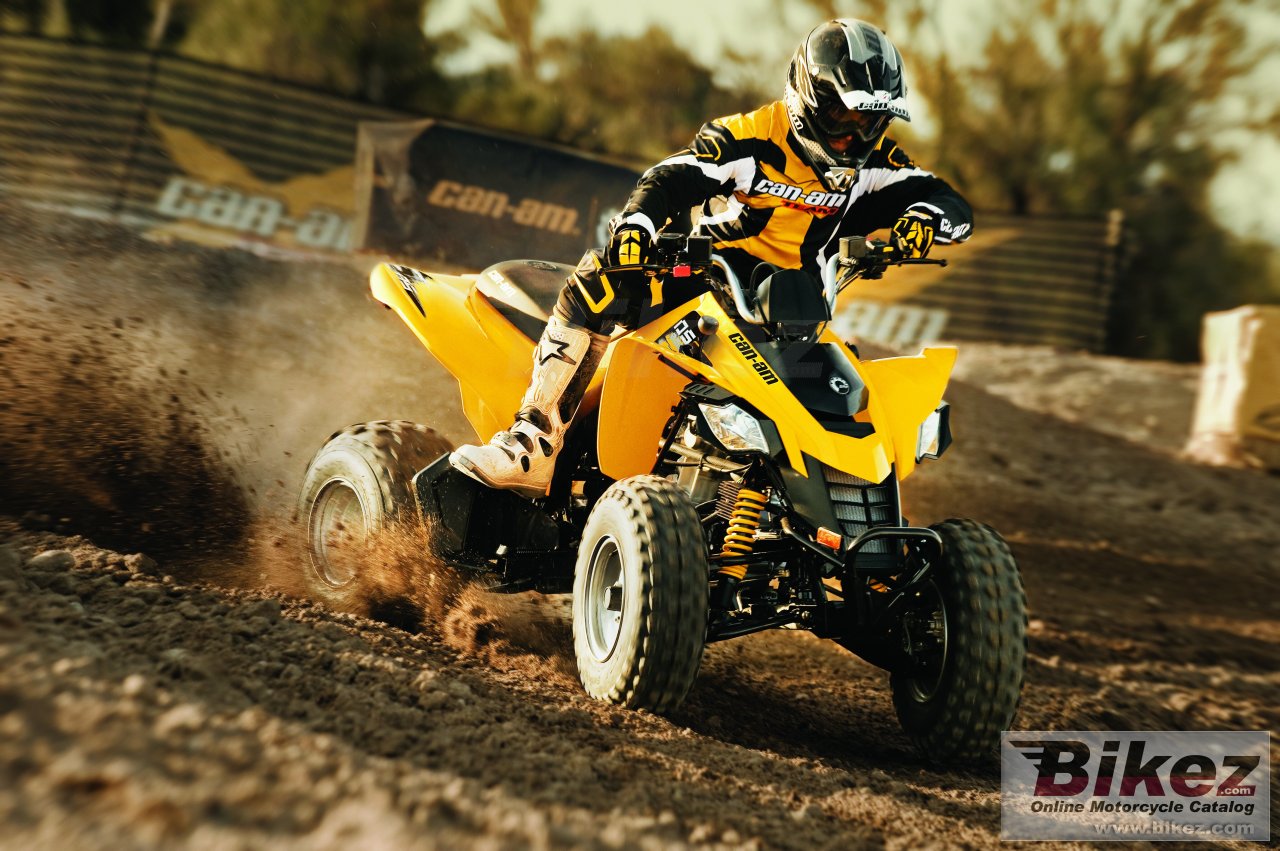 Thumbnail for Can-Am DS 250 2010