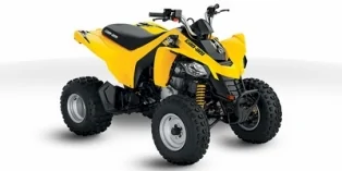 Thumbnail for Can-Am DS 250 2010