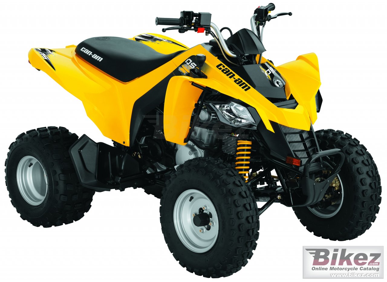 Can-Am DS 250