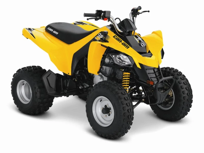 Thumbnail for Can-Am DS 250 2014