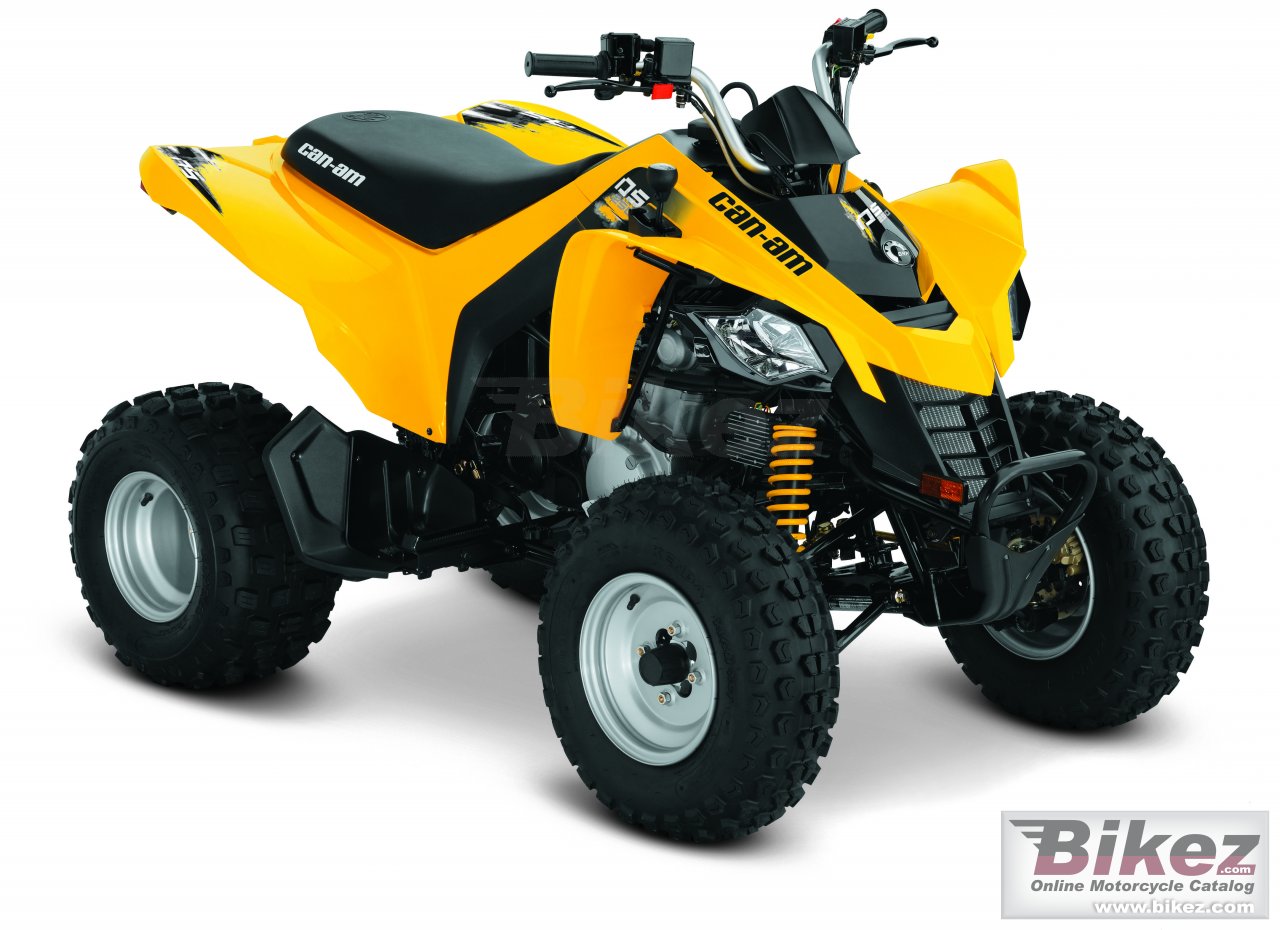 Can-Am DS 250