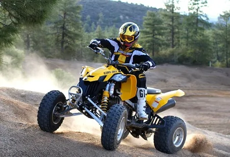 Can-Am DS 450