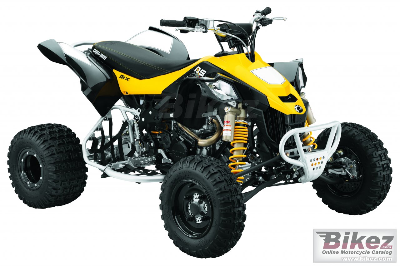 Can-Am DS 450 EFI X mx