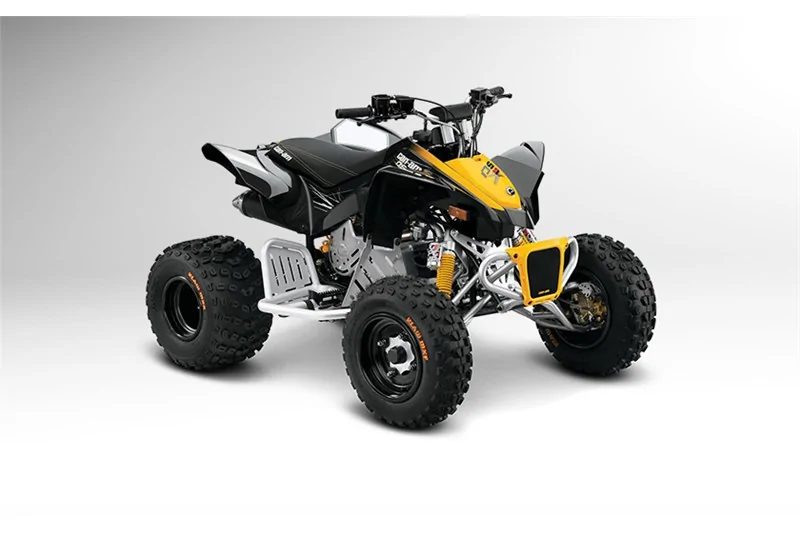 Thumbnail for Can-Am DS X 90 2014