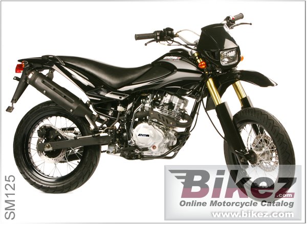CCM SM 125